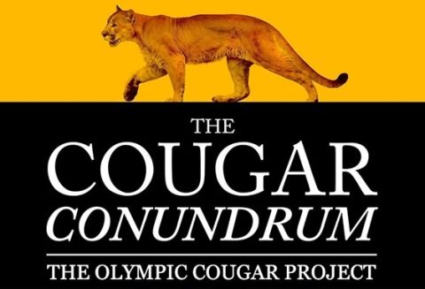Illustration of a cougar, with the text: The Cougar Conundrum: the Olympic Cougar Project
