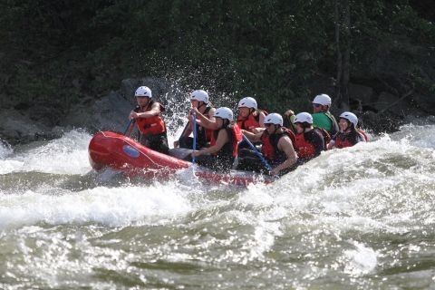 Group of people whitewater rafting