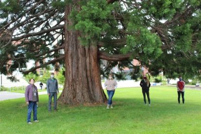 Students and faculty pose next to a tree on the Olympic College campus