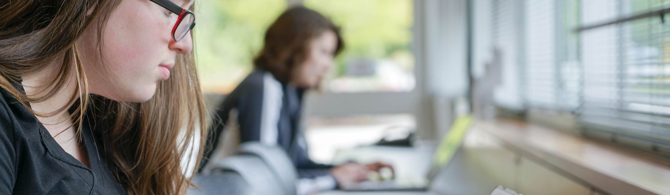 Students studying on laptops