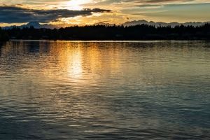 Brothers Yellow Sun Water