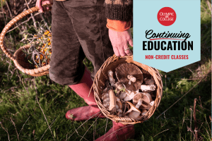 Close-up of person holding baskets full of harvested mushrooms and botanicals. Text reads, "Olympic College Continuing Education Non-Credit Classes"