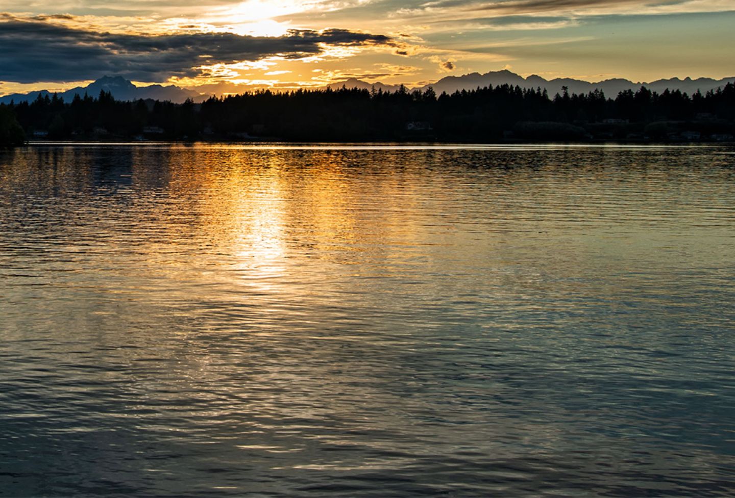 Brothers Yellow Sun Water